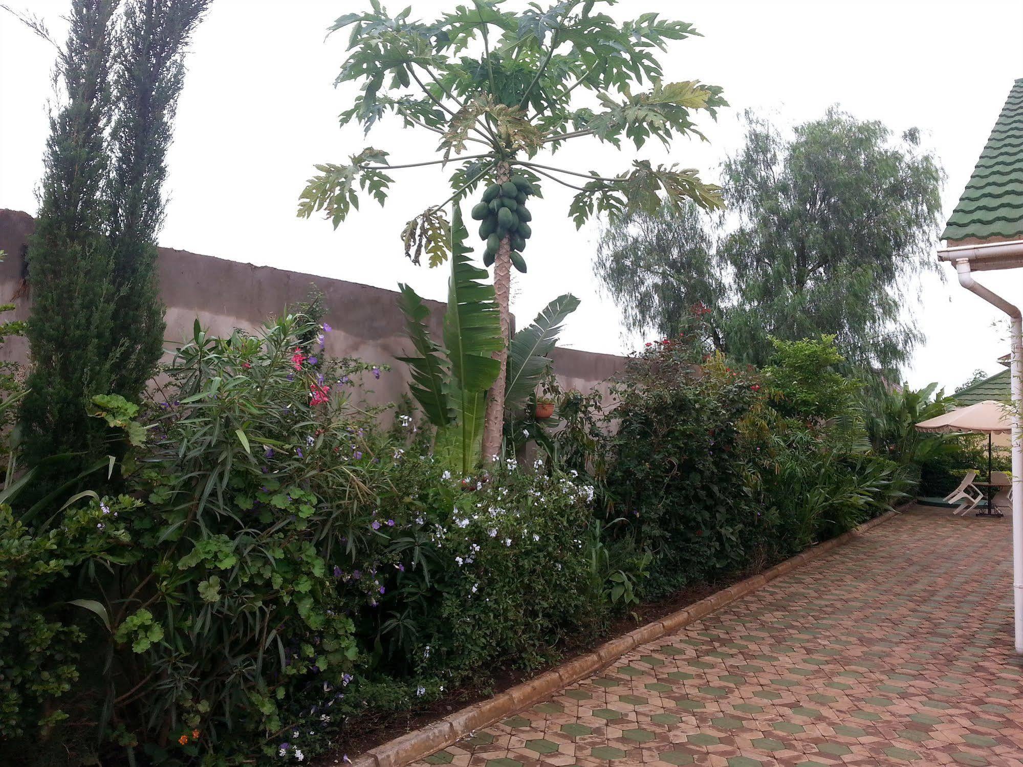 Korona House Hotel Arusha Exteriör bild